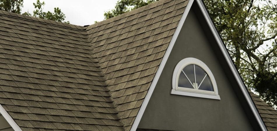 roof covered asphalt shingles roofing construction house rooftop construction - Turnkey Roofing Contractors